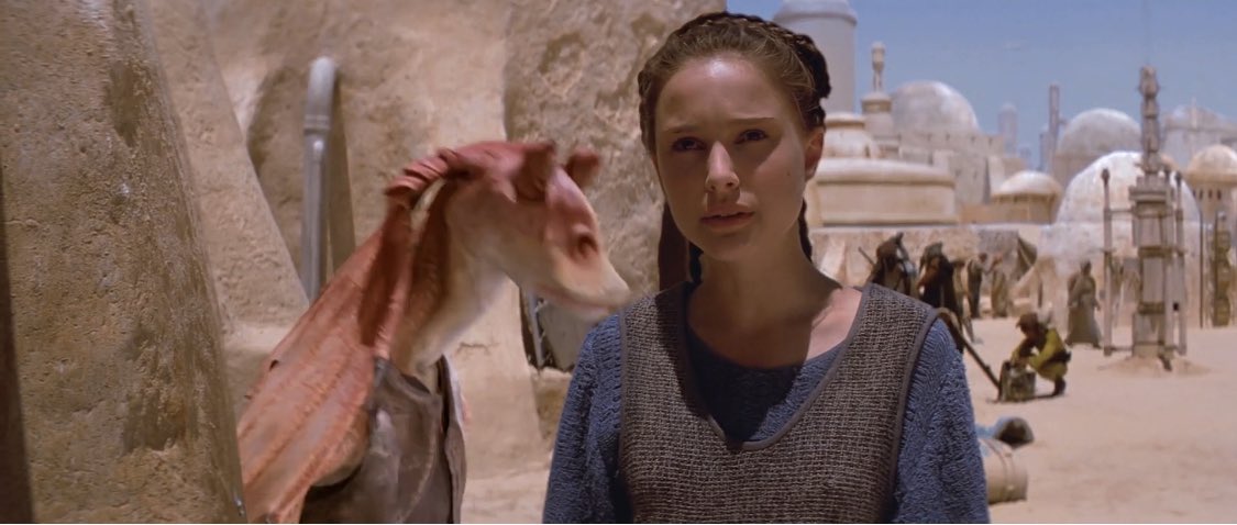 best of padmé amidala tweet media