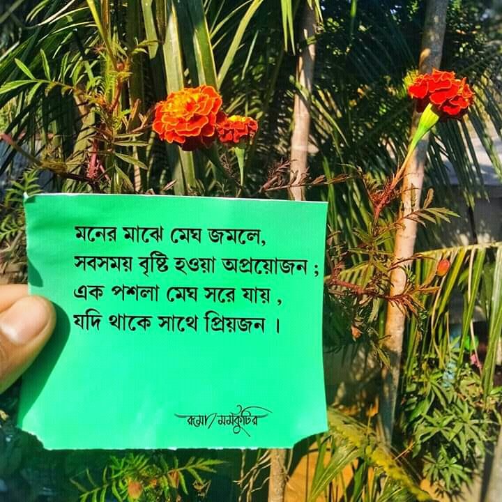 Sathi_76's tweet photo. https://t.co/wQy9huBu1d