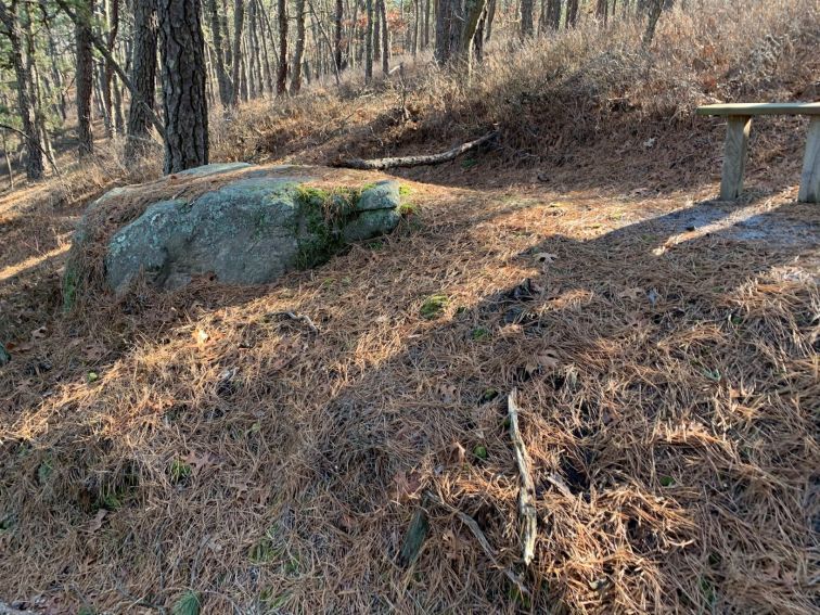 NovOutdoorsman's tweet photo. Manorville park #hike A bit of a harder one, but enjoyable.  https://t.co/6o5dE3D71M #noviceoutdoorsman https://t.co/84OTvJU6zJ