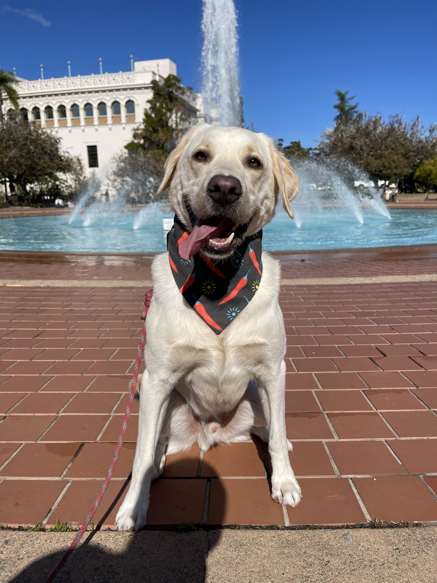 Visited Balboa Park today! #SanDiego