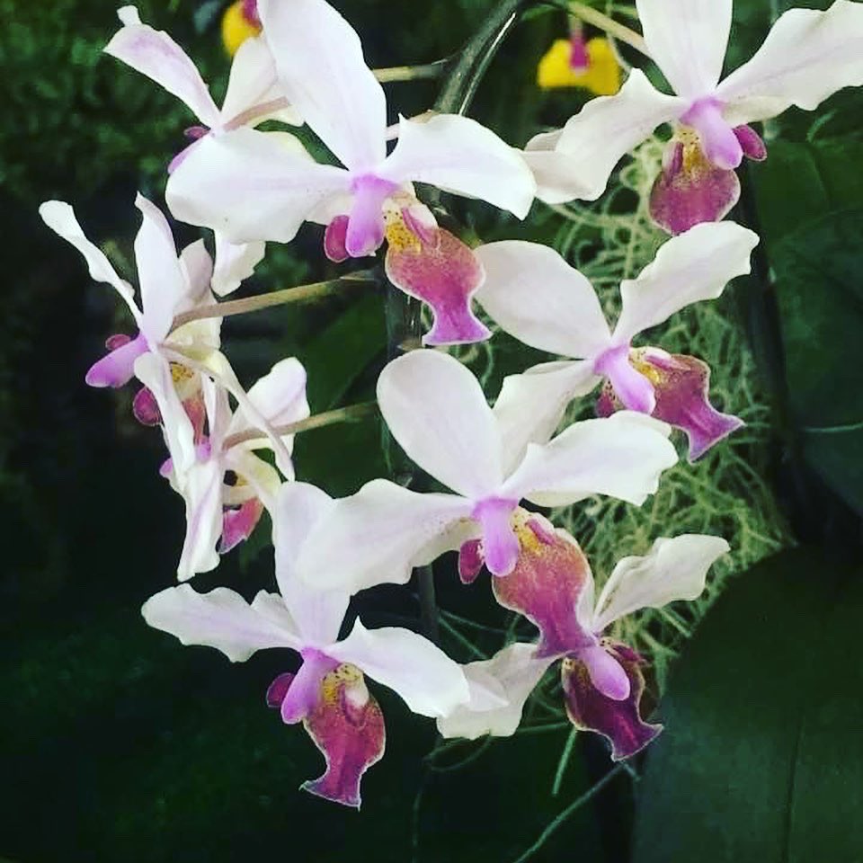 Mariq Tzvetkova Mariqtzvetkova Twitter