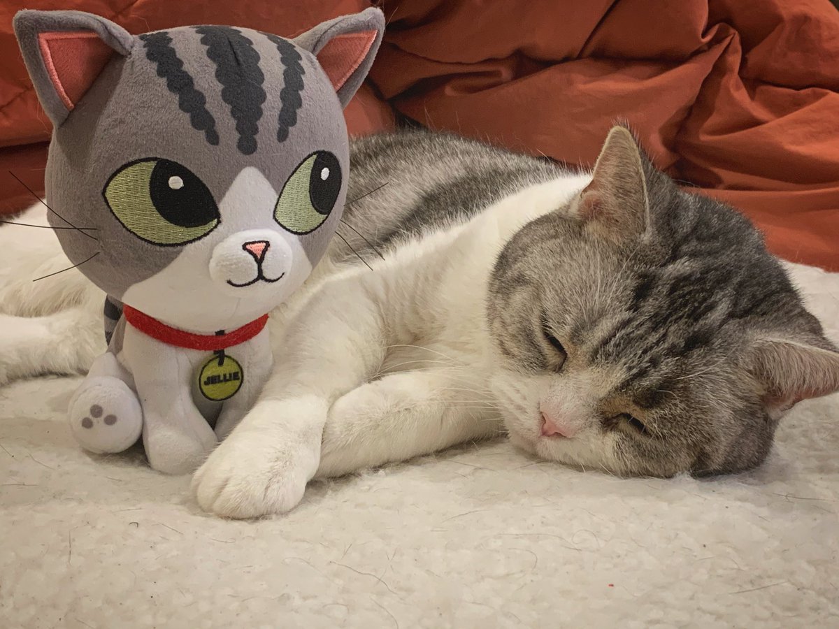 GTWScar's tweet photo. It makes me super happy to see everyone receiving their Jellie plushy! Please keep sending me pictures. https://t.co/a7l1mPkUHD