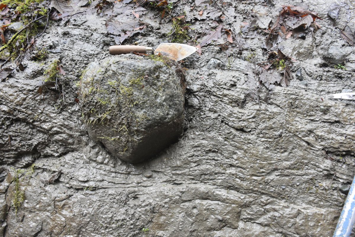 There is lots of great examples of dropstones in this unit, providing the evidence for ice contact. 6/n