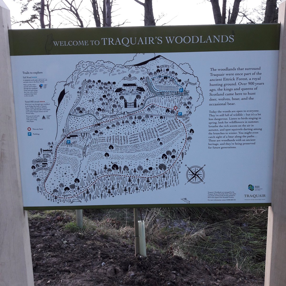 Thanks to <a href="/traquairhouse/">catherine m-s</a> for creating these wonderful walks through her woodland for all to enjoy. Wonderful views of the river meandering through the #Tweed valley. #ScottishBorders