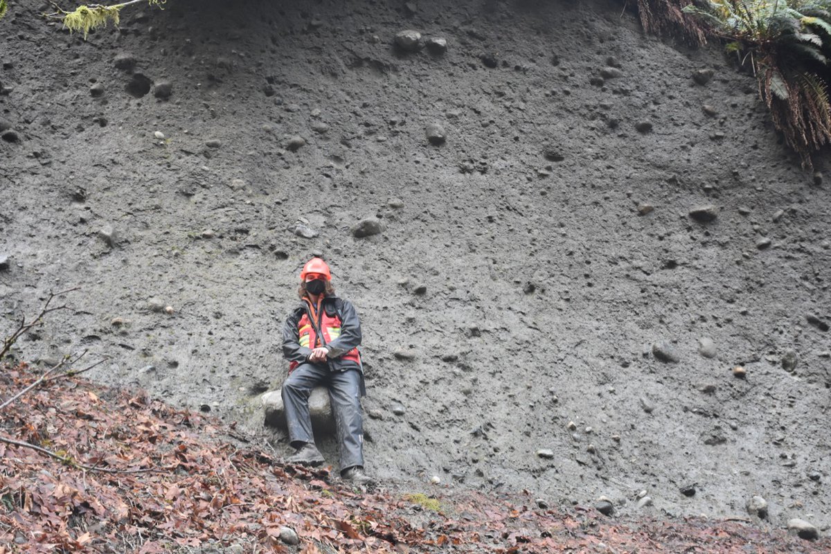 Above this is Coquitlam till, the first stade of the Fraser glaciation. Nice exposure! 7/n