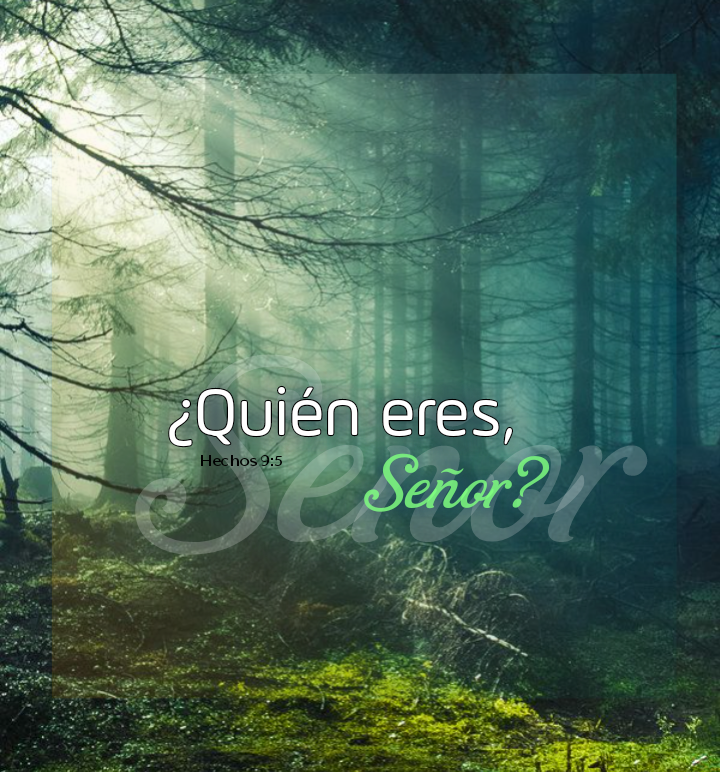 sharonoesis's tweet photo. ¿Quién eres...? https://t.co/LHm3fCTDGp