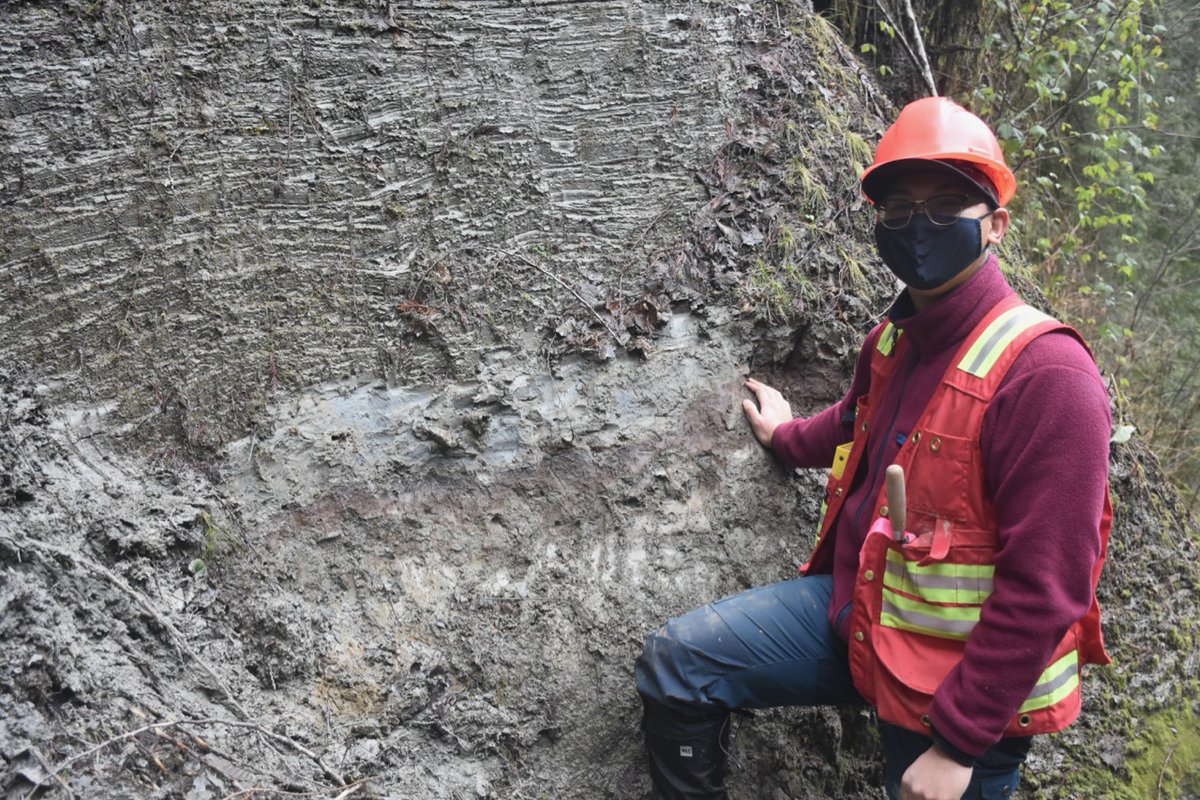 Port Moody Interstade represents glacier retreat, the deglacial lake drained and the development or an open Spruce-Fir forest. Weak paleosol present (Anthony has his hand on it). Wood in soil and in overlying lower Vashon glaciolacustrine seds date 18.5-17.5 14C ka. 8/n