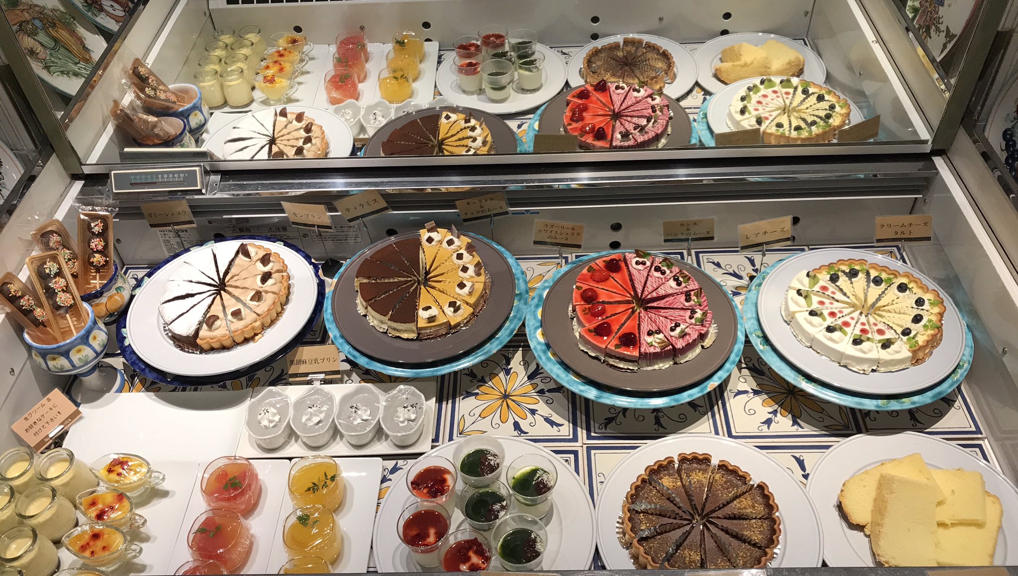 ノエルこすたりか Noelcosta Rica Twitter