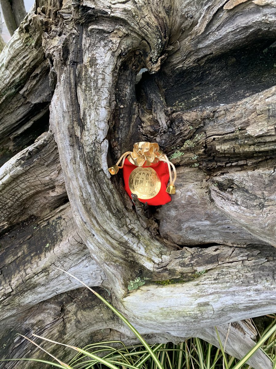 shimmermonkey's tweet image. just hid these two. Come find them! #ChineseNewYear #foodmonkey #foodmonkey #monkeyshines #monkeyshine #monkeyshine2021