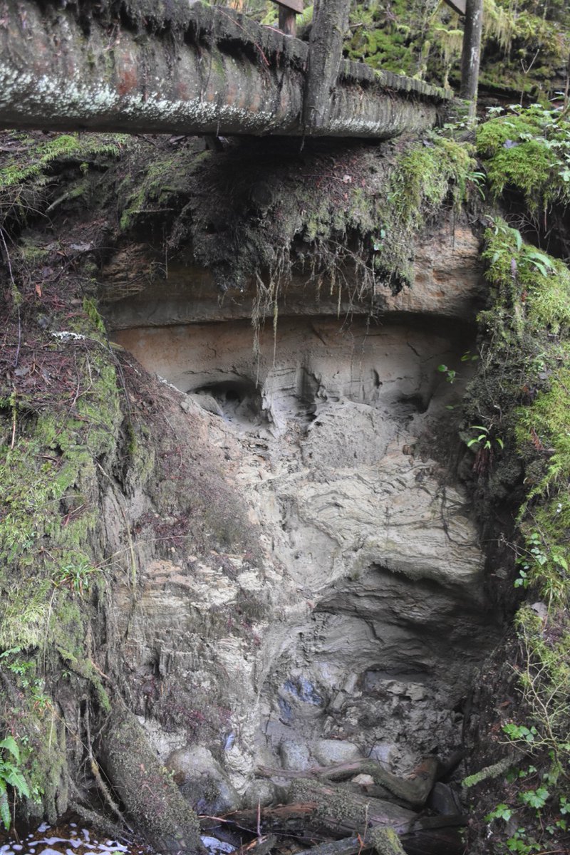 Sediments above could represent another deglacial lake, or possibly glaciomarine. Not sure, more work to be done! 12/n