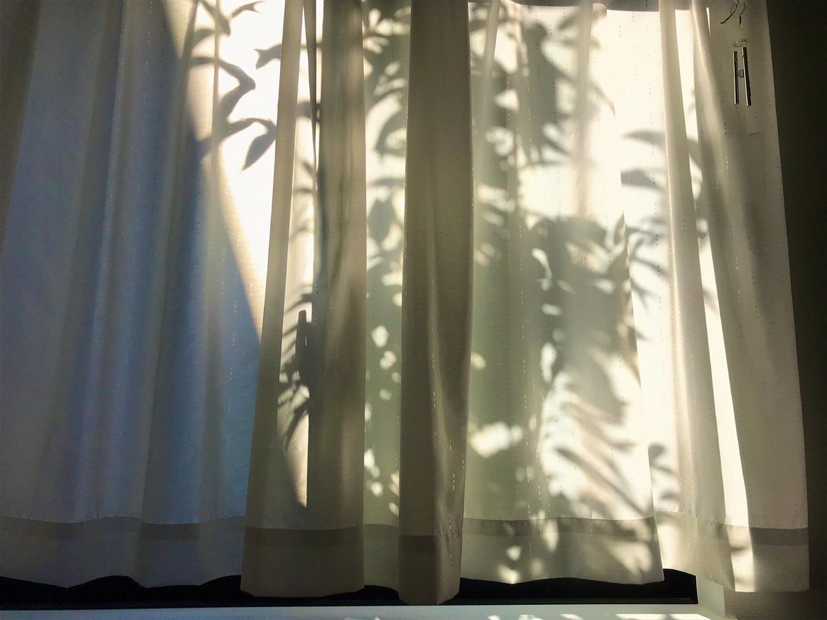 カーテンの向こう側