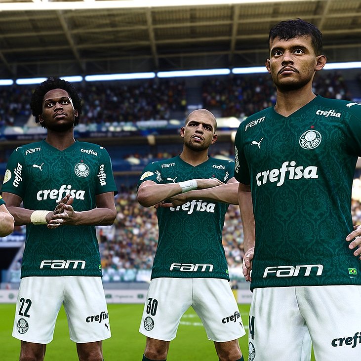 PESNewBR's tweet photo. Parabéns para o verdão 🐷🏆🏆 @Palmeiras é o novo rei da América @LibertadoresBR 🏆🐷😎 #Libertadores #Palmeiras https://t.co/NfJArrT1GM