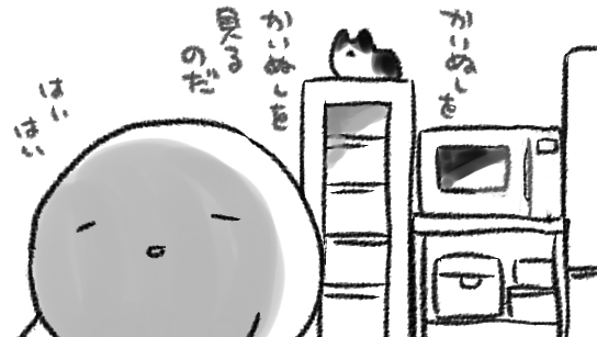 ごはん作ってるとねこに監視される 