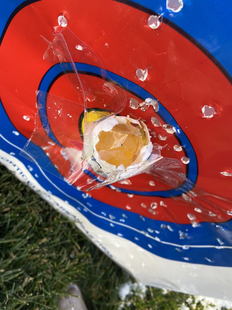 Alli_M19's tweet photo. Rest In Peace Shelly #eggbabieskoch https://t.co/HB9k3mw999