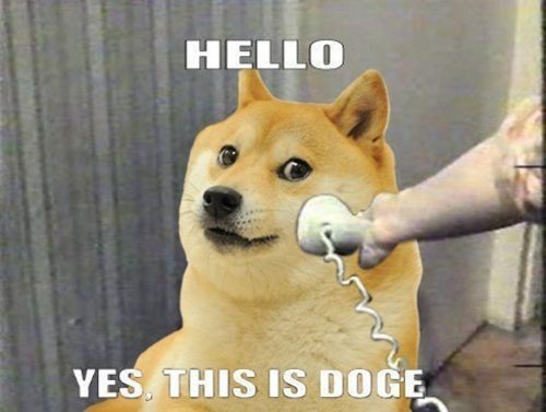 Tatdifi's tweet photo. @BTCST2020 @dogecoin $dogest #DOGEST #DOGE #BTCST
@TheArtOfAping @tascha_panpan @hopiaback
Doge to the moon ๐ https://t.co/7v1gmAW4KN