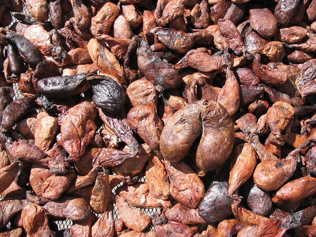 Bila hang dah mula baca berkenaan dunia wangian ni. Percayalah banyak yang kita akan rasa pelik.Bau tahi ada, bau kandang kambing ada, bau telur daripada haiwan, Bau muntah paus, bau seakan melintas kandang babi yang berlumpur dengan najis.Tapi itulah hakikatnya...