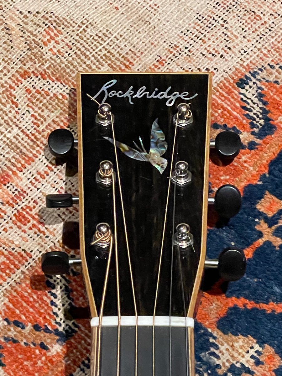 Stefan Lessard 🌊 tweet media