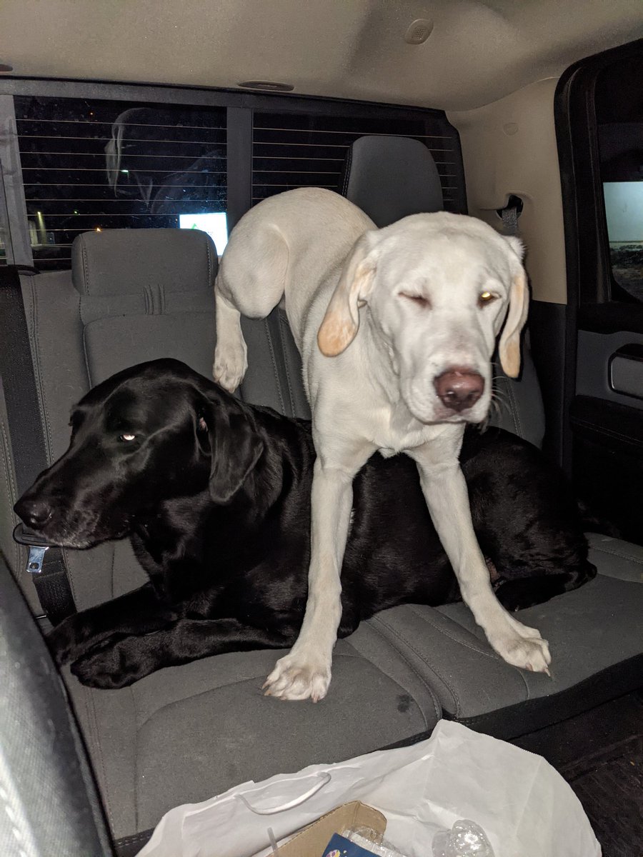 g_naploszek's tweet photo. @jsaliba25 They will be waiting for Uncle Joey ❤️ https://t.co/YNZTgKvCq8