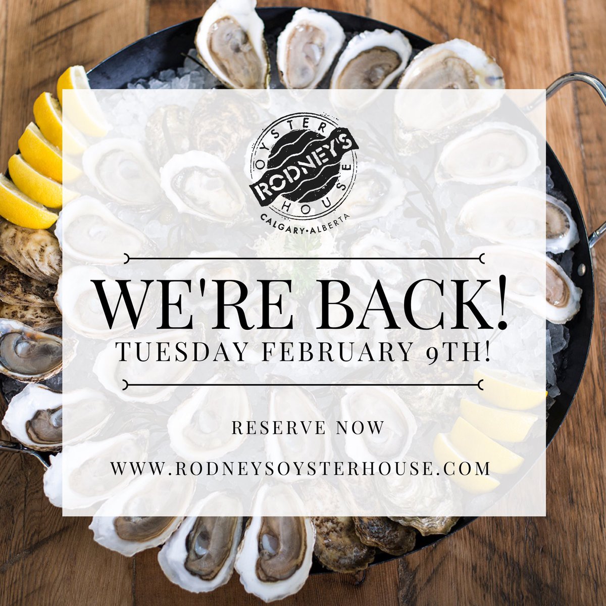 RodneysCalgary's tweet image. We are so pumped to welcome everyone back into the Oyster House for “Dine in Service” on Tuesday February 9th. Reservations are recommended 💕💕💕
