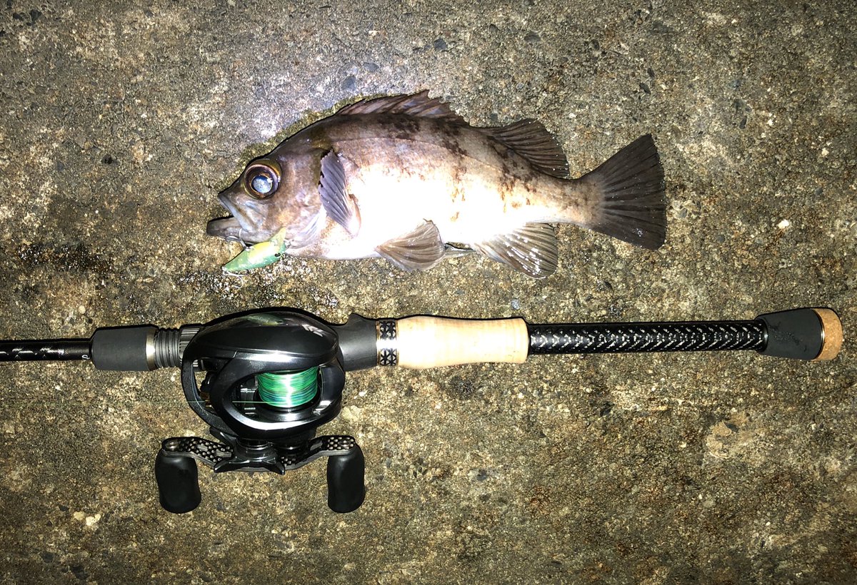 ソルトベイトフィネス