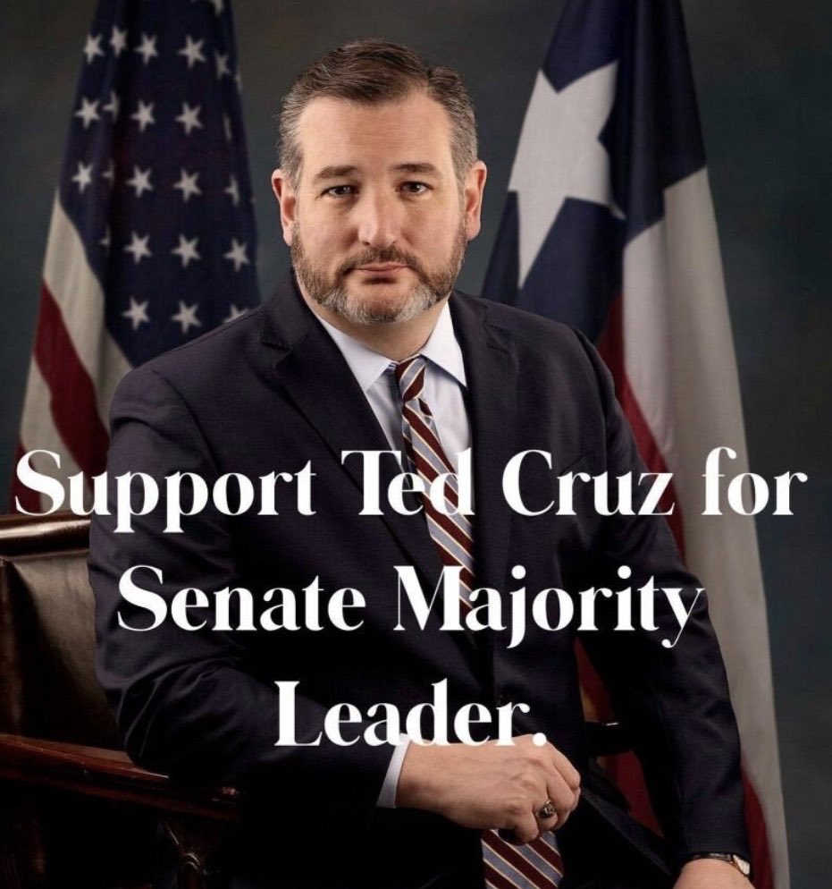 RT if you support Ted Cruz becoming the Senate Majority Leader.