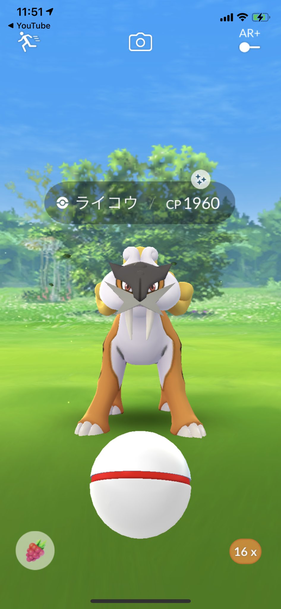 広瀬太一 96 色違いライコウgetです ご招待ありがとうございました ポケモンgo ライコウ T Co Nnyvnzoygb Twitter
