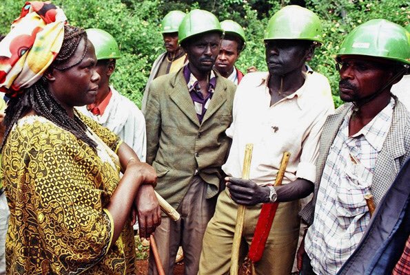 On the afternoon of January 8th 1999, a group led by  @WangariMaathai attempted to plant trees at the Karura Forest gate. Before they could, men armed with pangas, clubs, whips and bows & arrows descended upon them, dispersing them violently.[thread] #DaimaGreenSpaces
