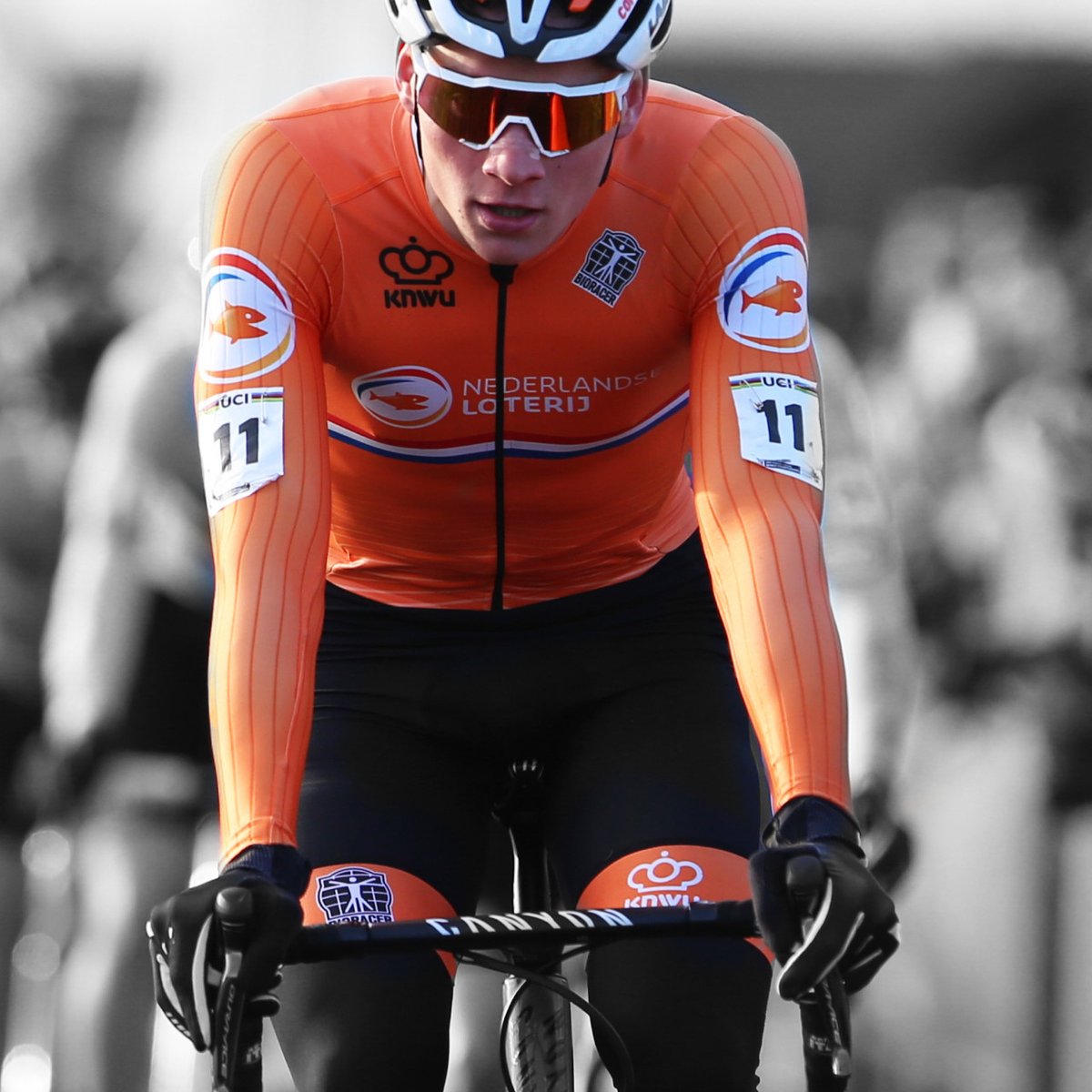 bioracer tweet media