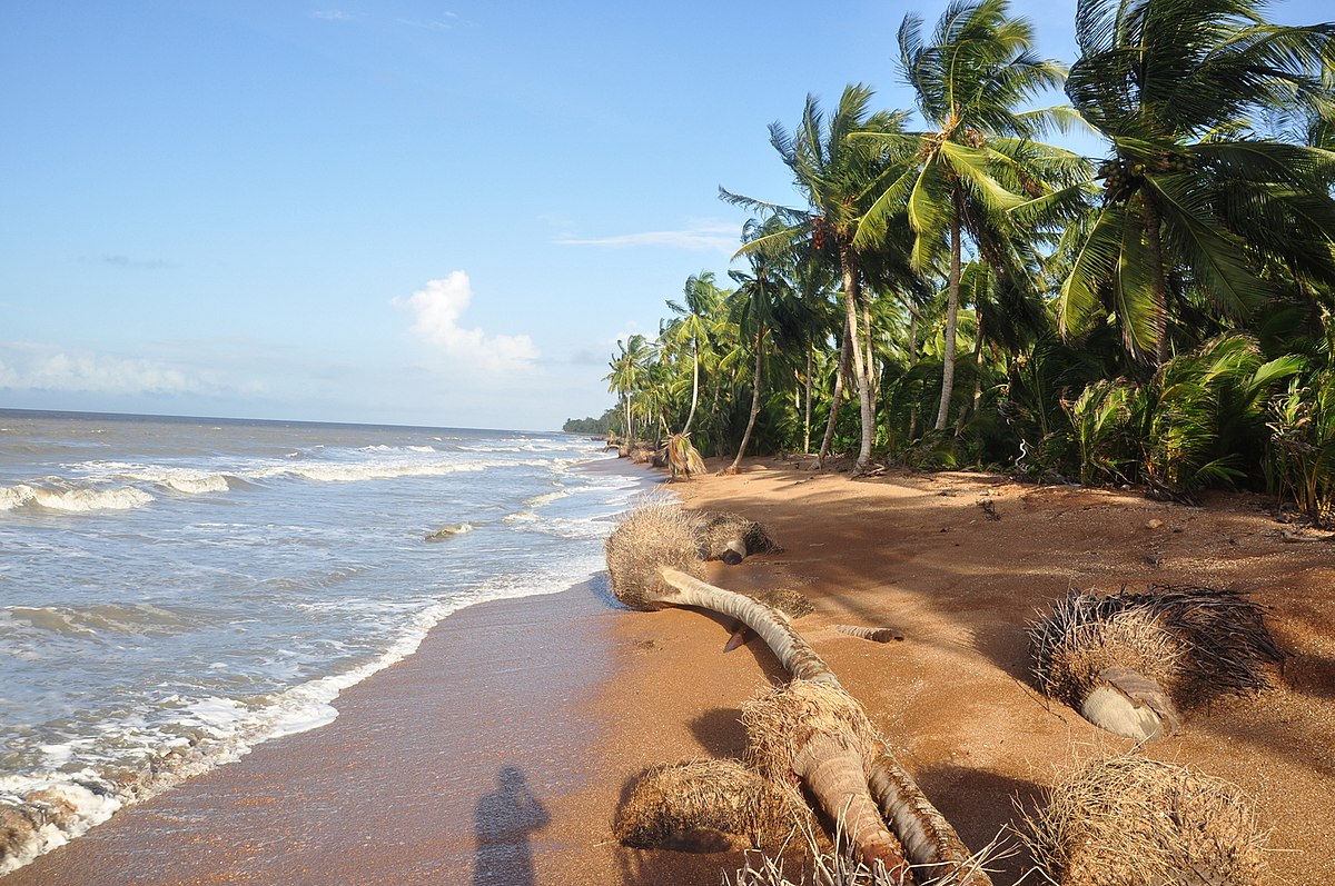 Tonight's site is Shell Beach in Guyana, a nesting site for 4 out of the 8 different types of sea turtle species. They are the Green turtle, Hawksbill turtle, Leatherback turtle & Olive Ridley turtle. The area was made a protected area on 2011.