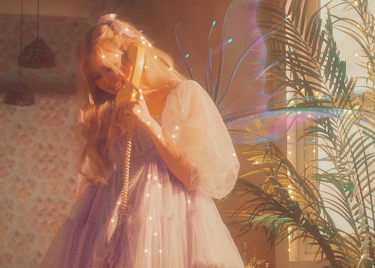 🕸 tweet media