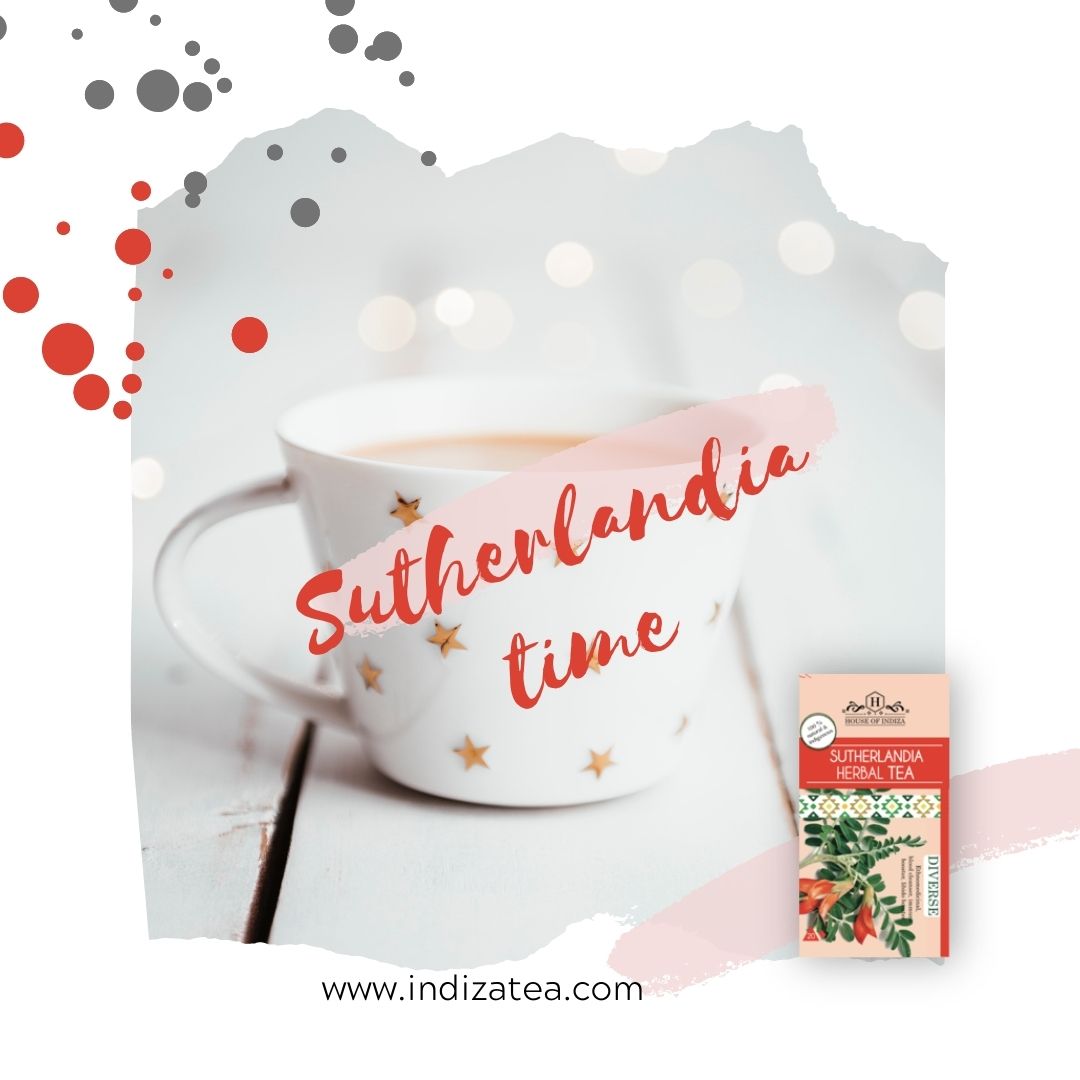 HouseofIndiza's tweet photo. Ever had of Makgona tsohle tea ? Do it all tea is called Sutherlandia This tea is a blood cleanser , Good for pains you name it Sutherlandia will solve it for you .
#makgonatsohle #masterofalltrades #sutherlandia #houseofindiza https://t.co/nszH2sClDU