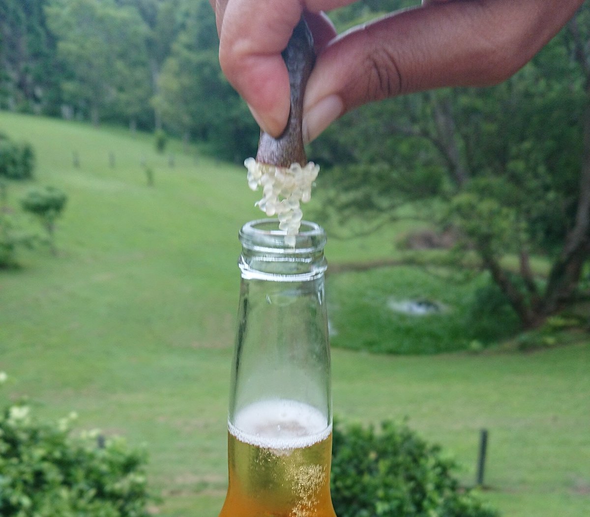 Michael Burt tweet media