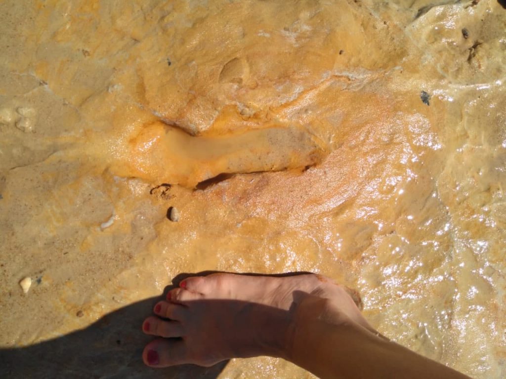 robertosaezm's tweet photo. Halladas en la playa de Matalascañas (Huelva) 90 huellas de neandertales de al menos 106.000 años. ¡Esperamos ansiosos la publicación! 
https://t.co/ULitg4kcd4 https://t.co/vKh0XRMloJ