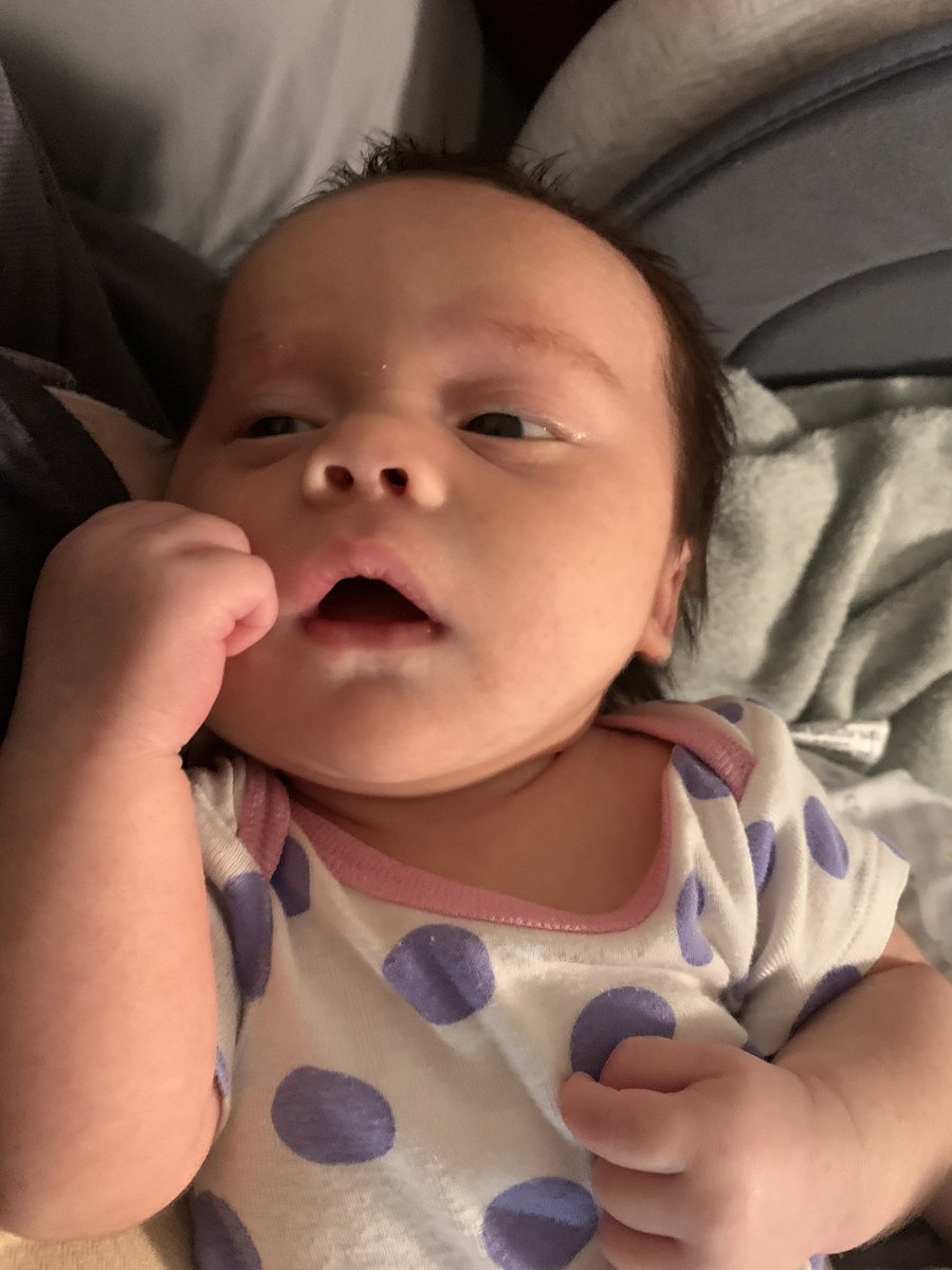 taylorerenee's tweet photo. For your viewing pleasure: with the womb noises https://t.co/uLXnJ7yUSV