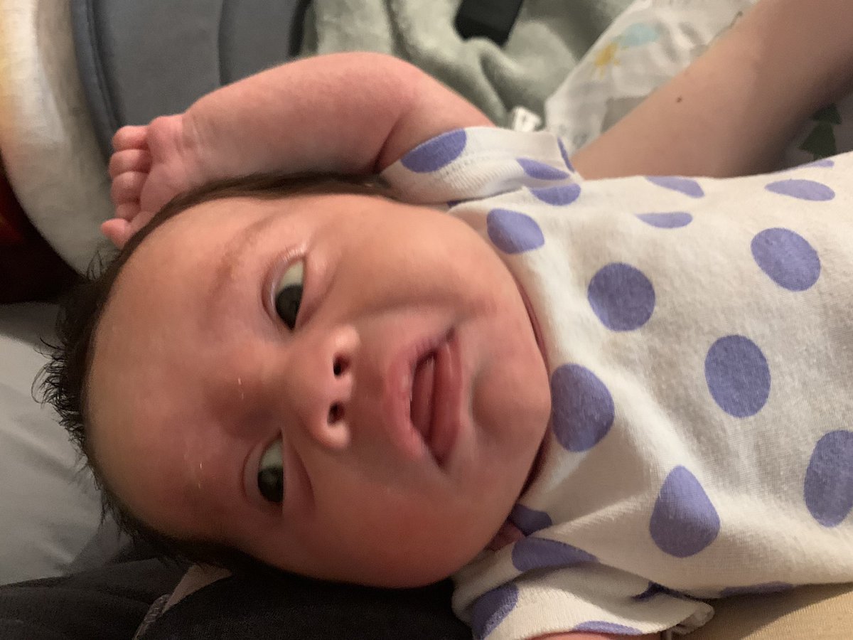 taylorerenee's tweet photo. Without womb noises https://t.co/rQhEuqGMMO