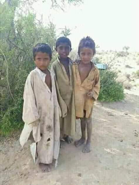 Lt_Gen_Rashid's tweet photo. تیرے دیس کے کتے امیر😞
میرے دیس کے بچے بوکھے😢
جیٸے بھٹو جیٸے زرداری
#BakhtawarBhuttowedding 
#PakistanArmy https://t.co/RiT9ivWe8R