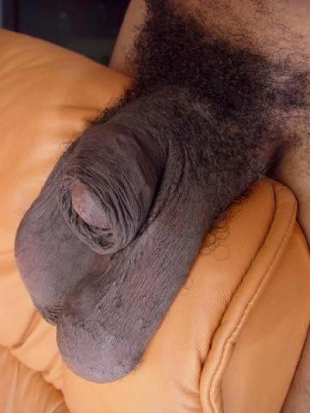 DCDICKSUCKER's tweet photo. Ever seen big ass #nutsacks #balls #scrotum like these ? #dicks #penis #cocks #Schlong #boner4older https://t.co/OlqJep26WA