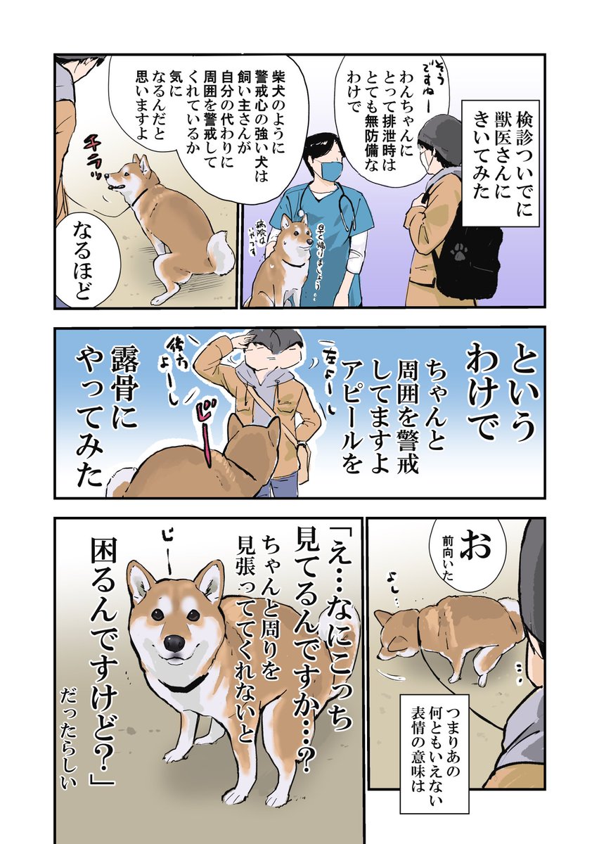 犬がトイレの時飼い主さんの目をじっと見つめる理由 