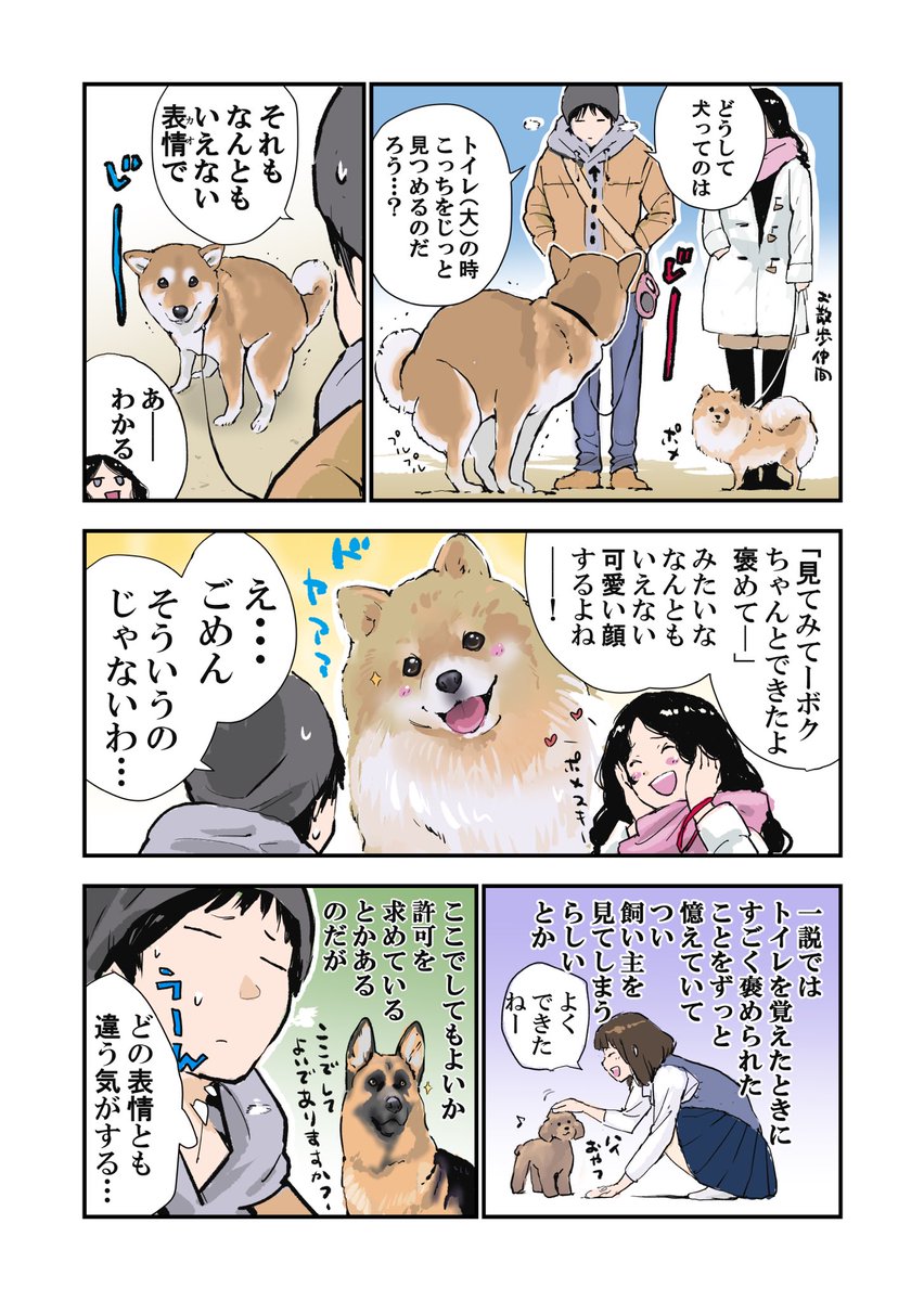 犬がトイレの時飼い主さんの目をじっと見つめる理由 