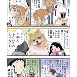 実はこんな意味があった？!犬がトイレをするときに飼い主の顔をじっと見つめるあの行動!