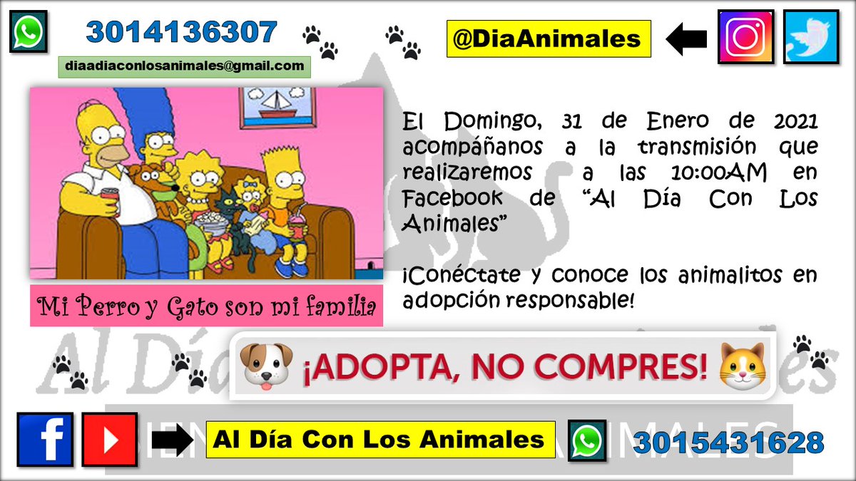 Sobre las 10:00AM de día de mañana @LorenaLemus1409, <a href="/rozo_kimberly/">kimberly rozo</a> y <a href="/carlospopular/">Carlos Popular 🐾</a>, realizaremos transmisión en #Facebook de 🐱facebook.com/diaadiaconlosa…🐶. 

¡Conéctate y conoce los animalitos que están en el hogar de paso y en #AdopciónResponsable! <a href="/MONYRODRIGUEZOF/">MÓNICA RODRÍGUEZ 🐤</a>, <a href="/AleGiraldoP/">Alejandra Giraldo</a>