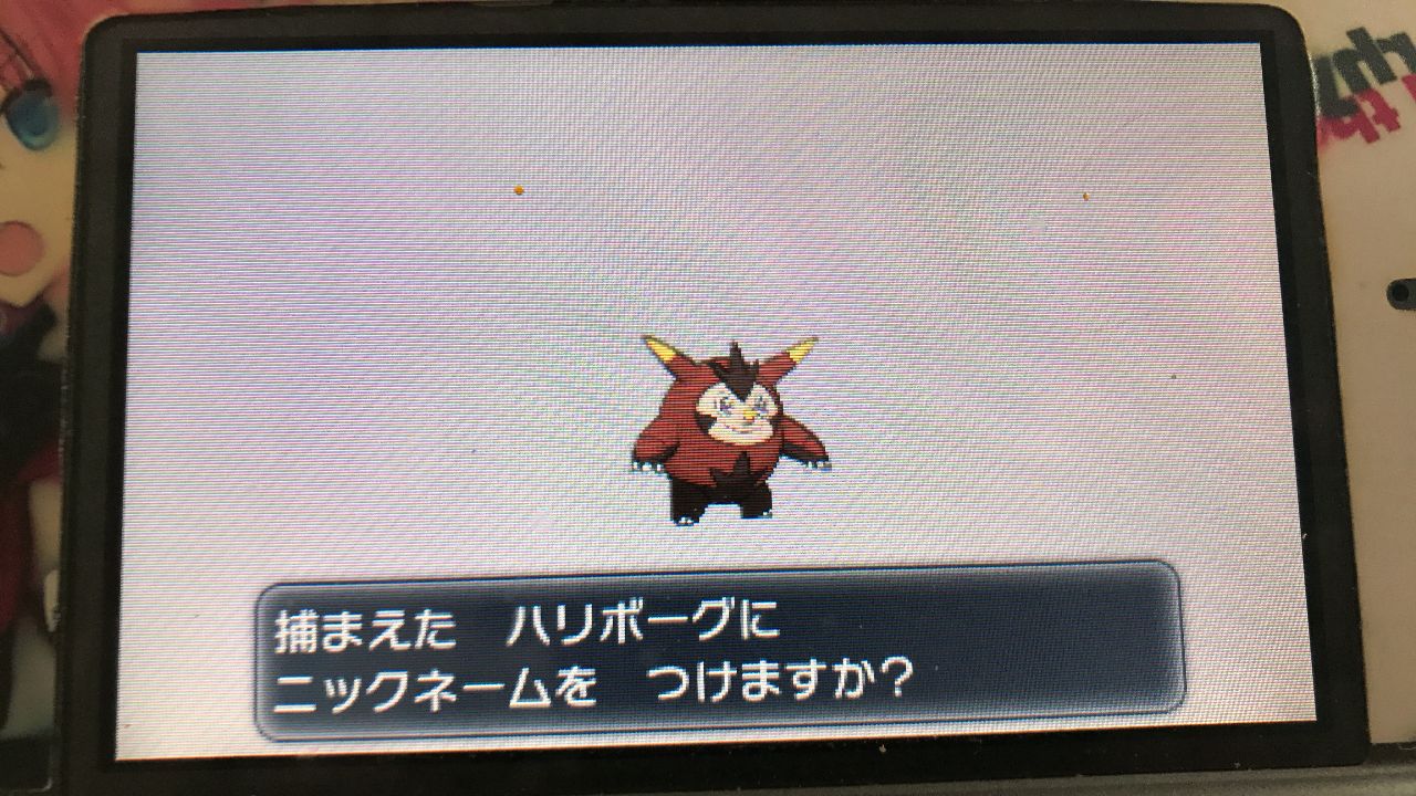 ぜかまし サファリ粘り4匹目 色違いハリボーグ 性格と特性残念ですが笑 これでカロス地方御三家の色違い目標達成だwww ポケモンxy 色違いポケモン T Co Fjjjflrhzg Twitter