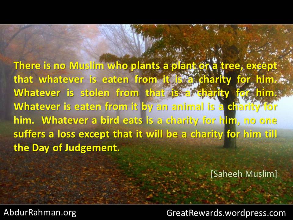 5. Allah loves when we take care of the nature..