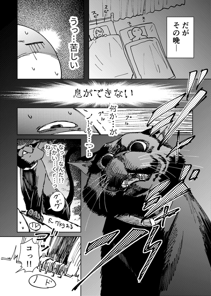 妻とチッチャクテカワイイクロネコと僕と。

#日記漫画
#マンガが読めるハッシュタグ 
#猫漫画 
