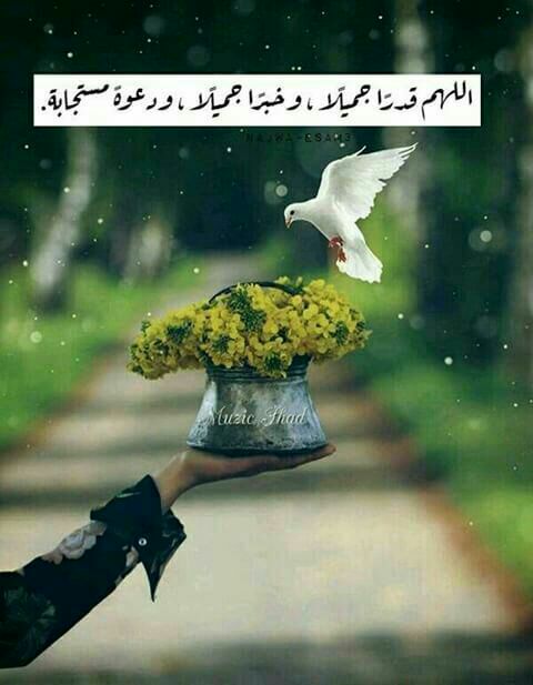 6e___e's tweet image. بعدد أحرف القرآن وبركته            اللهم أخرج كاتب
" لا حول ولا قوة إلا بالله"
من حوله إلى حولك ، ومن ضعفه إلى قوتك ، ومن إنكساره إلى عزتك يااااااااااالله !