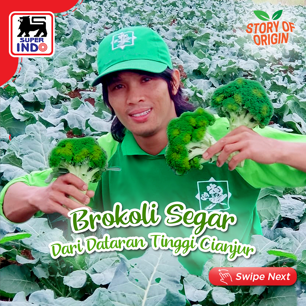 InfoSuperIndo's tweet photo. Balik lagi di #StoryofOrigin, kali ini minda mau kasih tau lebih lanjut tentang brokoli segar dari dataran tinggi Cianjur.
Siapa aja yang udah makan brokoli dari Super Indo? Cuung! absen ya di kolom komentar.
#SuperIndo #SuperSegar #SuperHemat #SegarnyaHemat #Brokoli https://t.co/TPFvqeZGeK