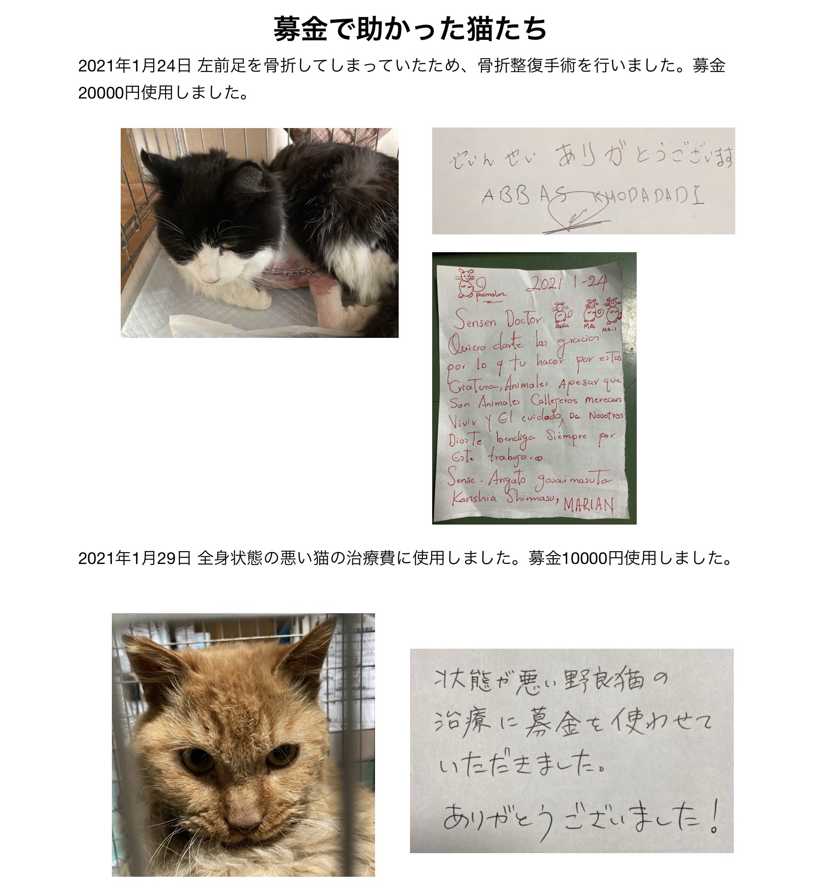 保護猫カフェさくら のらねこ募金使用しました さくらカフェの受付に置いてあるのらねこ募金は保護猫や野良猫の治療費として使わせていただいています 骨折猫ちゃんのお礼のコメントはスペイン語のようではっきりした意味はわかりません 気持ちは十分 保護猫カフェさくら のらねこ募金使用しました さくらカフェの受付に置いてあるのらねこ募金は保護猫や野良猫の治療費として使わせていただいています 骨折猫ちゃんのお礼のコメントはスペイン語のようではっきりした意味はわかりません 気持ちは十分