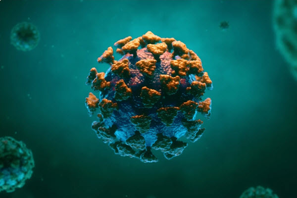 twitterbo's tweet image. SARS-CoV-2 is resistant to extreme variations in temperature
---&amp;gt; news-medical.net/news/20210128/…