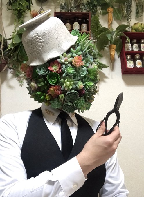 多肉植物の寄せ植えのtwitterイラスト検索結果