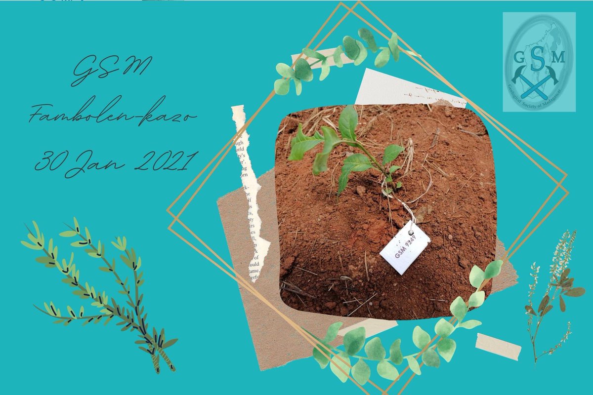 Geological Society of Madagascar (GSM) tweet media